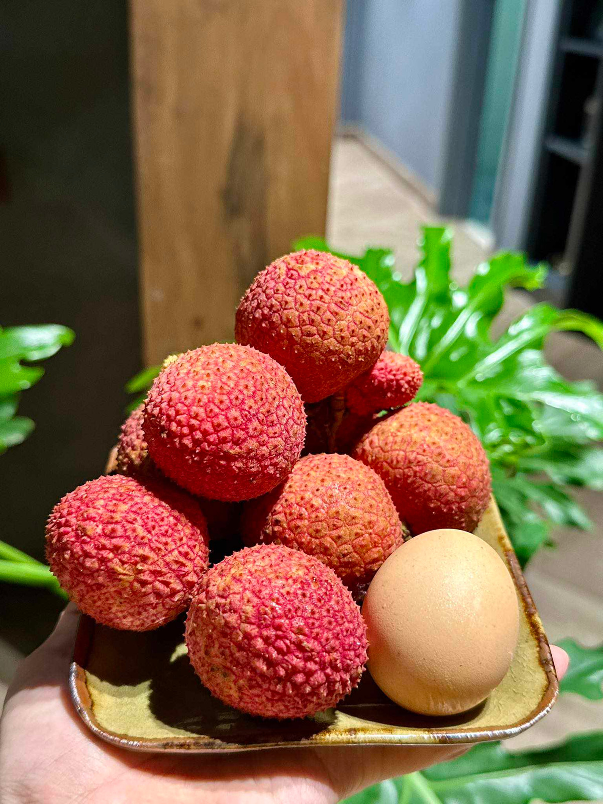 Vai trung Hung Yen, 180.000 dong chi mua duoc 17 qua-Hinh-4