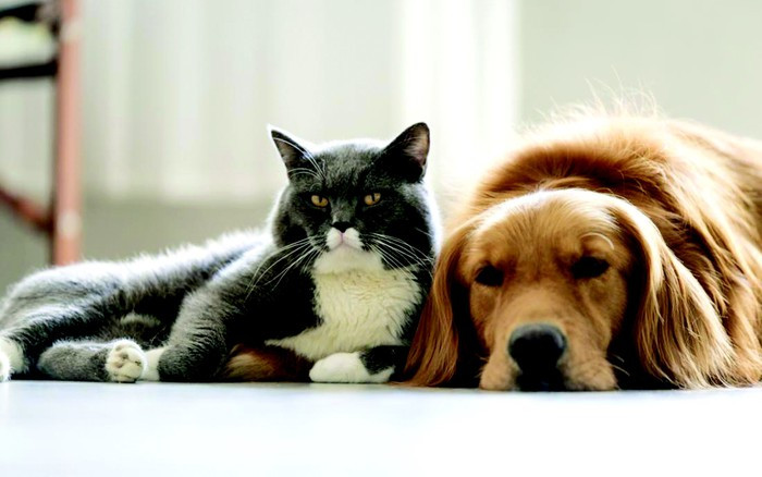 Chúng ta cần nắm bắt cơ hội và nỗ lực để tiếp tục duy trì vận may vững mạnh và đạt đến đỉnh cao của cuộc đời. Chúc các bạn mọi điều may mắn, tài lộc từ trên trời rơi xuống, thành công cả hai phương hướng và thành công trong thời gian sắp tới! (Bài viết chỉ mang tính chất tham khảo và chiêm nghiệm).