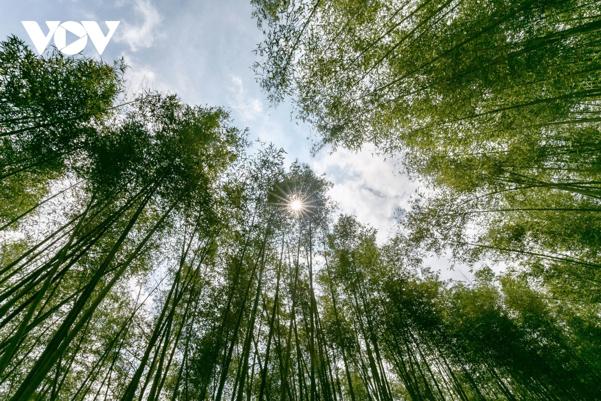 Nhờ vị trí địa lý đặc biệt, quanh năm không khí nơi đây trong lành, mát mẻ. Du khách sẽ có cảm giác được hòa mình vào thiên nhiên, tạm quên đi vất vả, mệt nhọc của công việc, cuộc sống thường ngày.