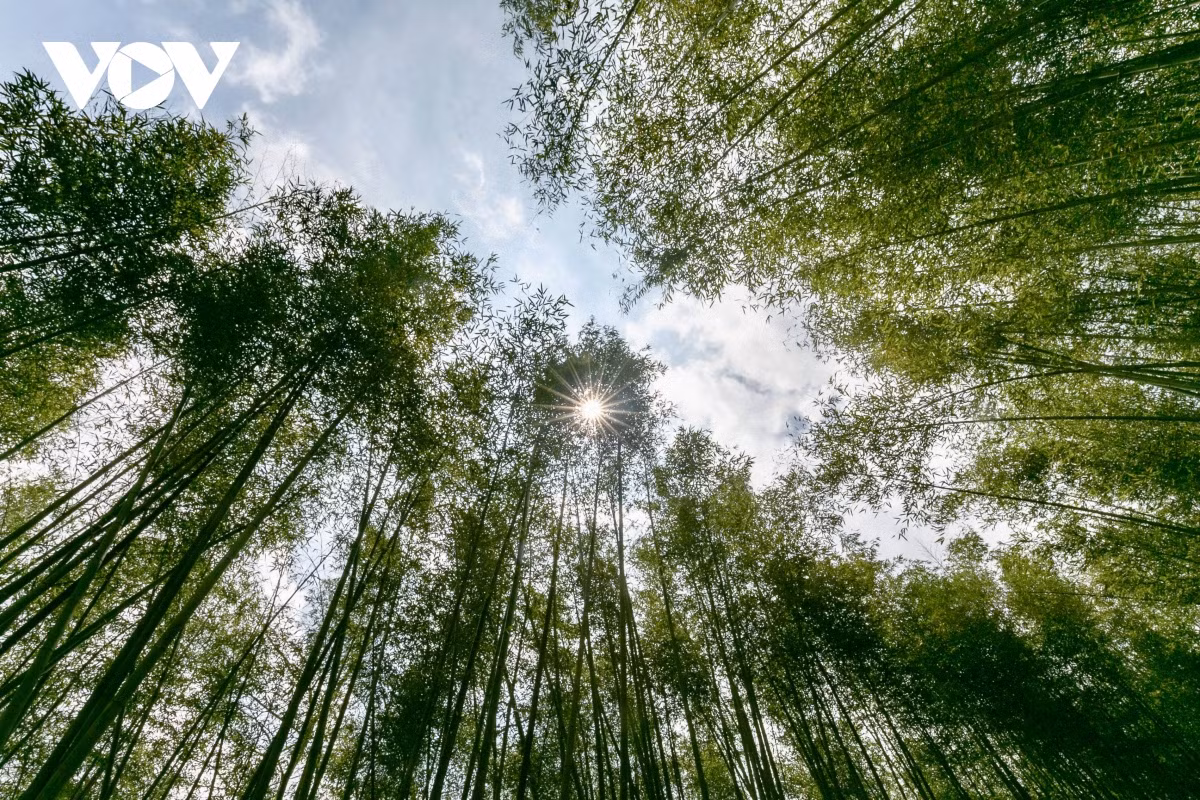 Nhờ vị trí địa lý đặc biệt, quanh năm không khí nơi đây trong lành, mát mẻ. Du khách sẽ có cảm giác được hòa mình vào thiên nhiên, tạm quên đi vất vả, mệt nhọc của công việc, cuộc sống thường ngày.