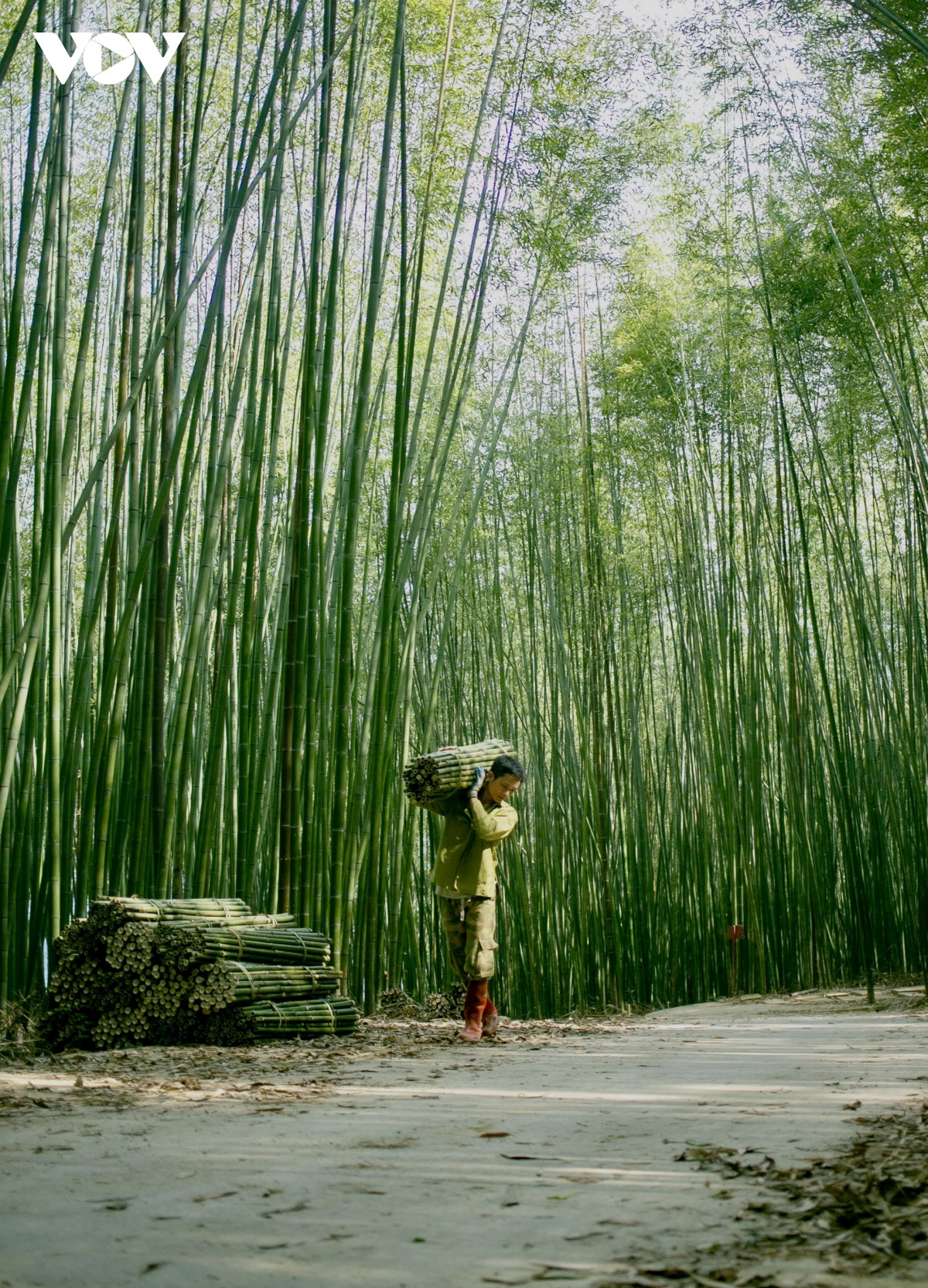 Không chỉ được chiêm ngưỡng cảnh quan thiên nhiên tuyệt đẹp, cảm nhận không khí mát mẻ, trong lành, tại đây du khách còn có thể tìm hiểu về đời sống, phong tục tập quán của người dân địa phương.