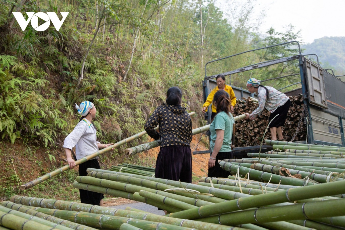 Huyện Nguyên Bình có tới 8 dân tộc anh em cùng sinh sống, trong đó xóm Bản Phường của xã Thành Công có gần 60 hộ với hơn 200 nhân khẩu đa phần là người Dao Tiền, Dao Đỏ.