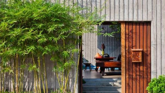 Hơn nữa theo thống kê thì trước khi xảy ra một số tai họa lớn như hạn hán, động đất thì cây tre, trúc sẽ nở hoa và khô héo trên diện rộng. Từ xa xưa tre nở hoa mà không có dấu hiệu báo trước, chỉ cần tre nở hoa ở một nơi nào đó, thì ngay lập tức hạn hán ập tới.