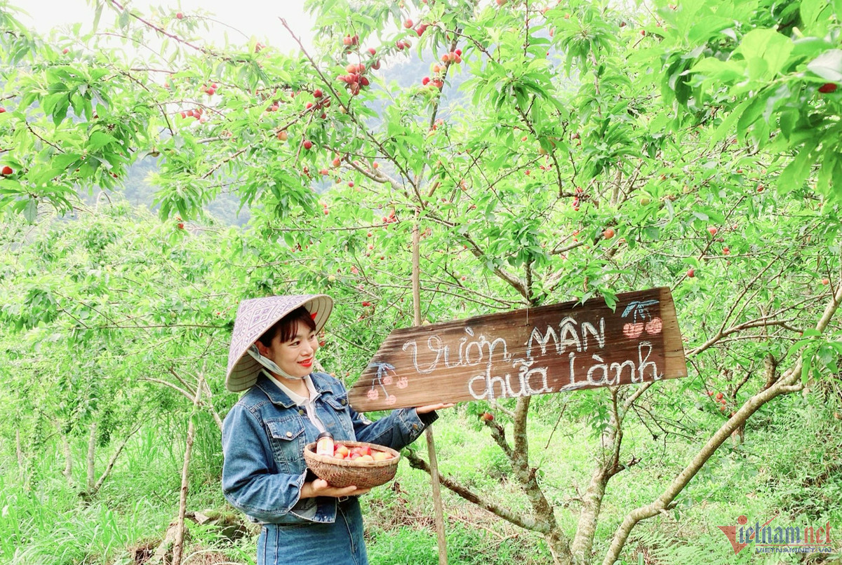 Kham pha “vuon man chua lanh” noi cong troi Muong Long
