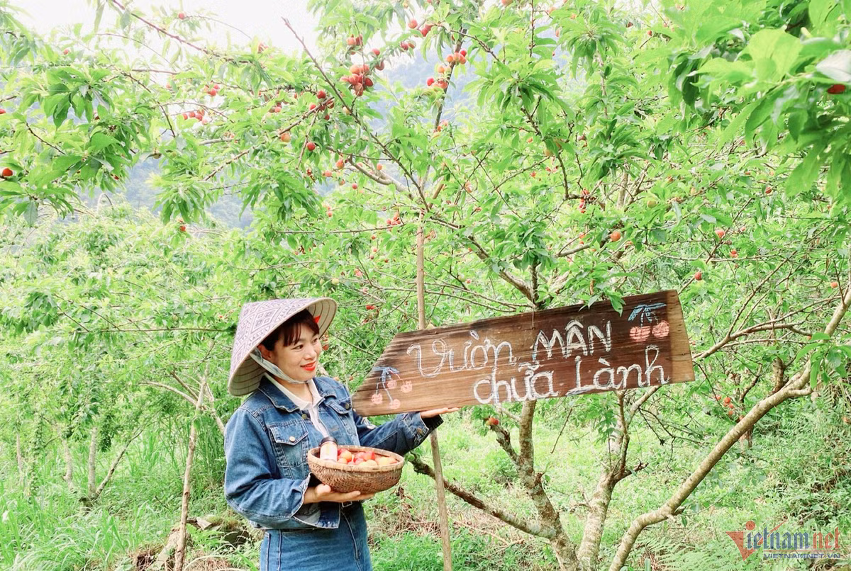 Kham pha “vuon man chua lanh” noi cong troi Muong Long