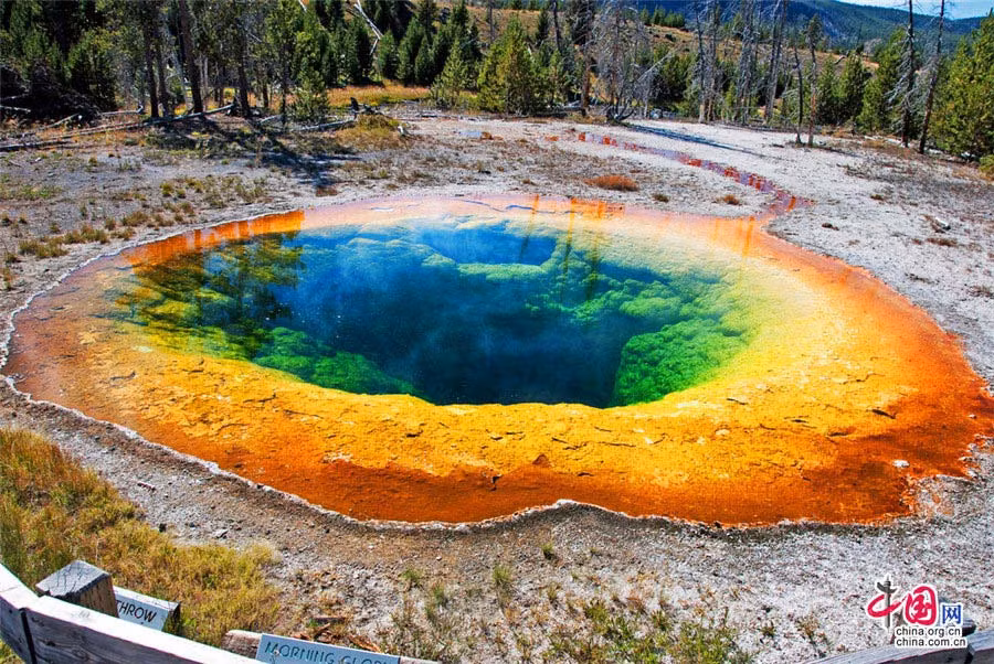 Vườn quốc gia có rất nhiều những thác nước cùng 4 dãy núi chạy qua. Yellowstone có gần 60 loài động vật có vú, bao gồm cả sói xám, gấu xám Bắc Mỹ, mèo rừng, bò rừng bizon, nai sừng tấm.