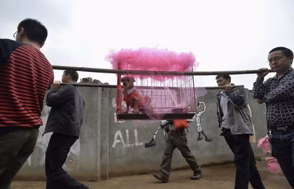 "Cô dâu" chó Lanlan được ngồi kiệu về nhà chồng trong đám cưới linh đinh ở Thành Đô ngày 18/10.