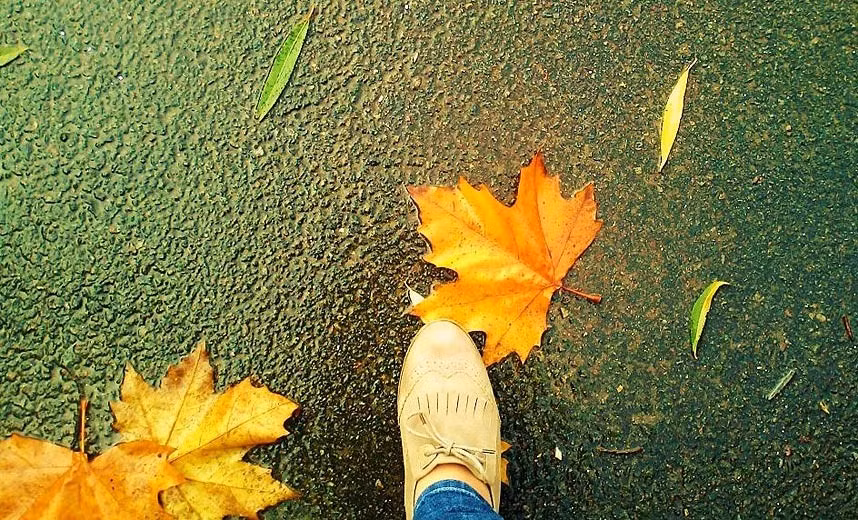 Bức ảnh "mưa thu" được gửi bởi độc giả Monica Carrasco.