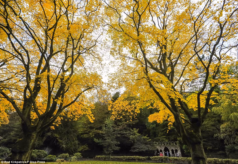 Cảnh thu cổ kính ở Matlock Bath, quận Derbyshire Peak.