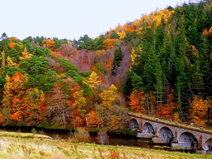 Sắc thu ở Peebles, Scotland là tác phẩm của độc giả Aline Dobbie.