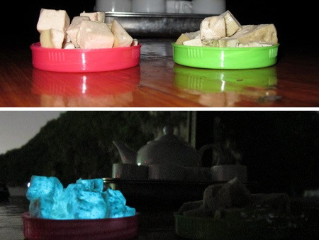 Theo kết quả kiểm nghiệm, cơ quan chức năng không phát hiện giò phát sáng trong đêm.