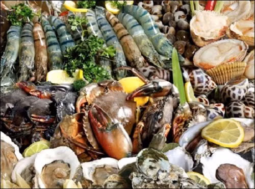 Hải sản và cá biển là những thực phẩm rất giàu chất dinh dưỡng được nhiều người ưa thích, nhất là vào mùa hè. Tuy nhiên, hiện nay có không ít loài cá biển và hải sản có chứa lượng độc tố cao và gây ra nhiều vụ ngộ độc chết người.