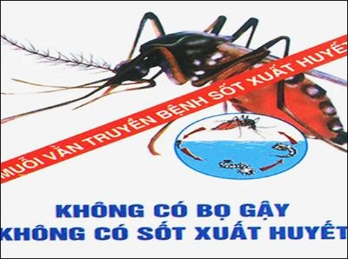 Thời điểm bắt đầu mùa mưa (tháng 5) là thời điểm vào mùa dịch, ghi nhận số mắc gia tăng theo thống kê hàng năm, bệnh chưa có thuốc và vắc xin điều trị đặc hiệu cùng với tập quán trữ nước tại nhiều địa phương khiến nguy cơ xảy ra dịch là rất lớn.