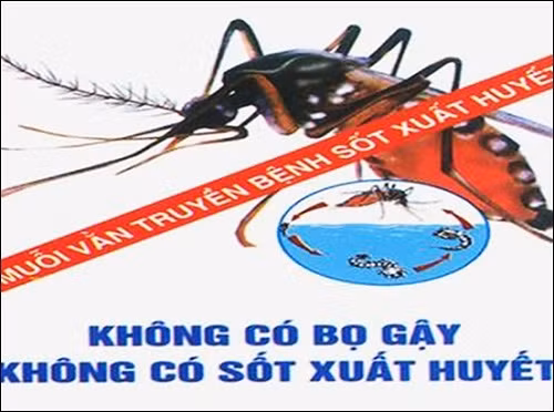 Thời điểm bắt đầu mùa mưa (tháng 5) là thời điểm vào mùa dịch, ghi nhận số mắc gia tăng theo thống kê hàng năm, bệnh chưa có thuốc và vắc xin điều trị đặc hiệu cùng với tập quán trữ nước tại nhiều địa phương khiến nguy cơ xảy ra dịch là rất lớn.