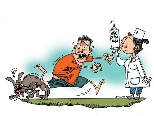 Theo nhận định của Bộ Y tế, số tử vong do dại tập trung chủ yếu ở các tỉnh miền núi phía Bắc, có thể gia tăng vào mùa hè do sự tăng các ổ dịch dại trên đàn chó trong thời gian này.