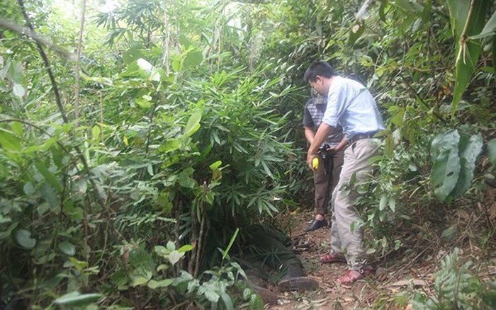 Rạng sáng 26/10, cảnh sát điều tra tội phạm ma túy Công an tỉnh Nghệ An đã triệt phá đường dây mua bán trái phép chất ma túy tại khu vực biên giới, tiêu diệt 1 đối tượng, thu giữ 3 bánh heroin cùng nhiều vũ khí nóng. Trong ảnh, lực lượng chức năng khám nghiệm hiện trường (Ảnh: Công an Nghệ An)