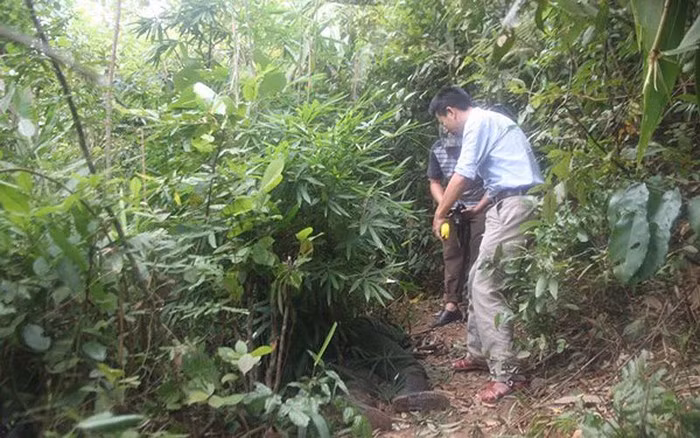 Rạng sáng 26/10, cảnh sát điều tra tội phạm ma túy Công an tỉnh Nghệ An đã triệt phá đường dây mua bán trái phép chất ma túy tại khu vực biên giới, tiêu diệt 1 đối tượng, thu giữ 3 bánh heroin cùng nhiều vũ khí nóng. Trong ảnh, lực lượng chức năng khám nghiệm hiện trường (Ảnh: Công an Nghệ An)