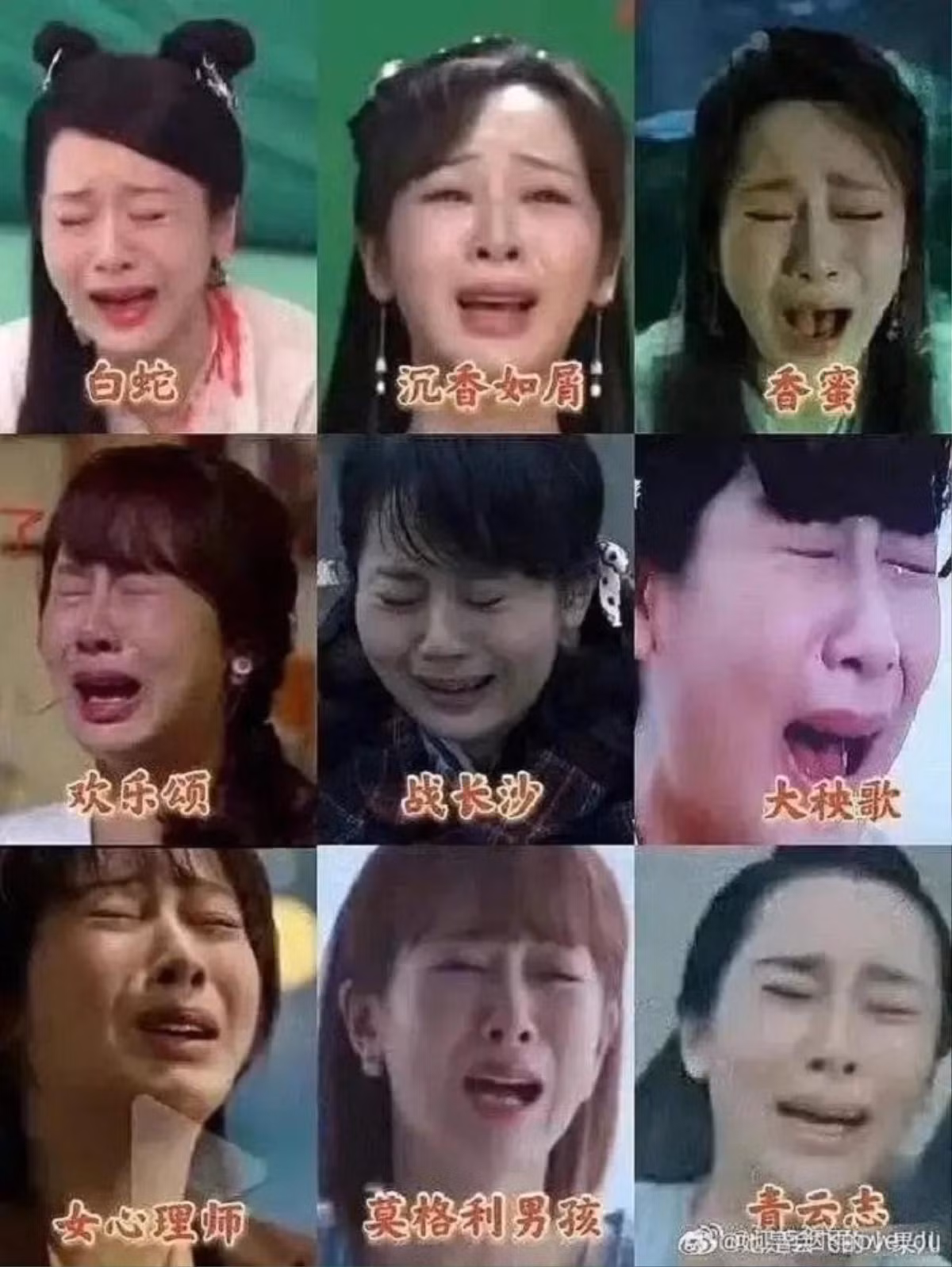 Dien xuat cua Duong Tu bi che bai, canh khoc 10 phim nhu 1-Hinh-2