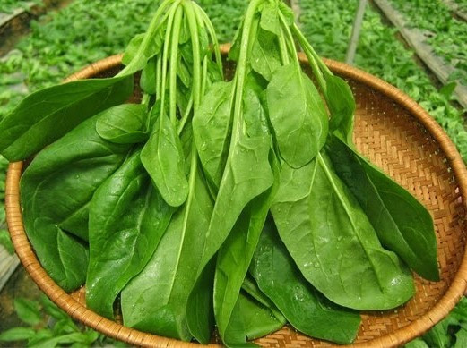 6 loai thuc pham co vi dang nhung tot cho nguoi tieu duong-Hinh-3