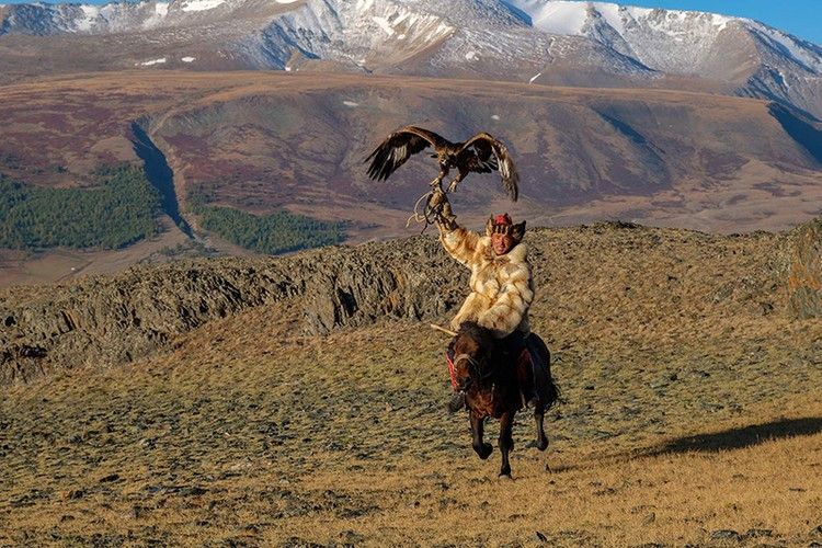 Người ta tin rằng loài chim săn mồi đã được thuần hóa từ cách đây 6.000 năm và kể từ đó truyền thống này liên tục được truyền lại cho các thế hệ sau. Ảnh: Getty Images.