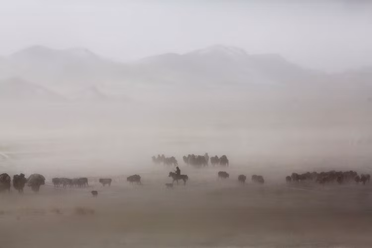 Ngày nay, số người Kazakhstan du mục là khoảng 100.000 người. Ảnh: Getty Images.
