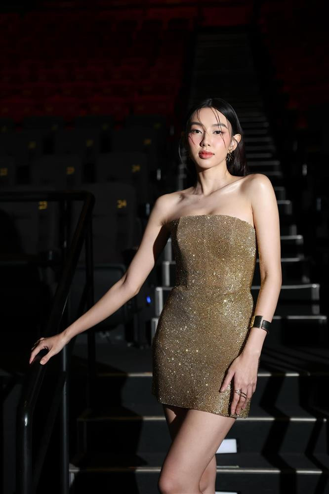 Thuc hu Thuy Tien kiem 240 ty sau 2 nam nho danh hoa hau-Hinh-2