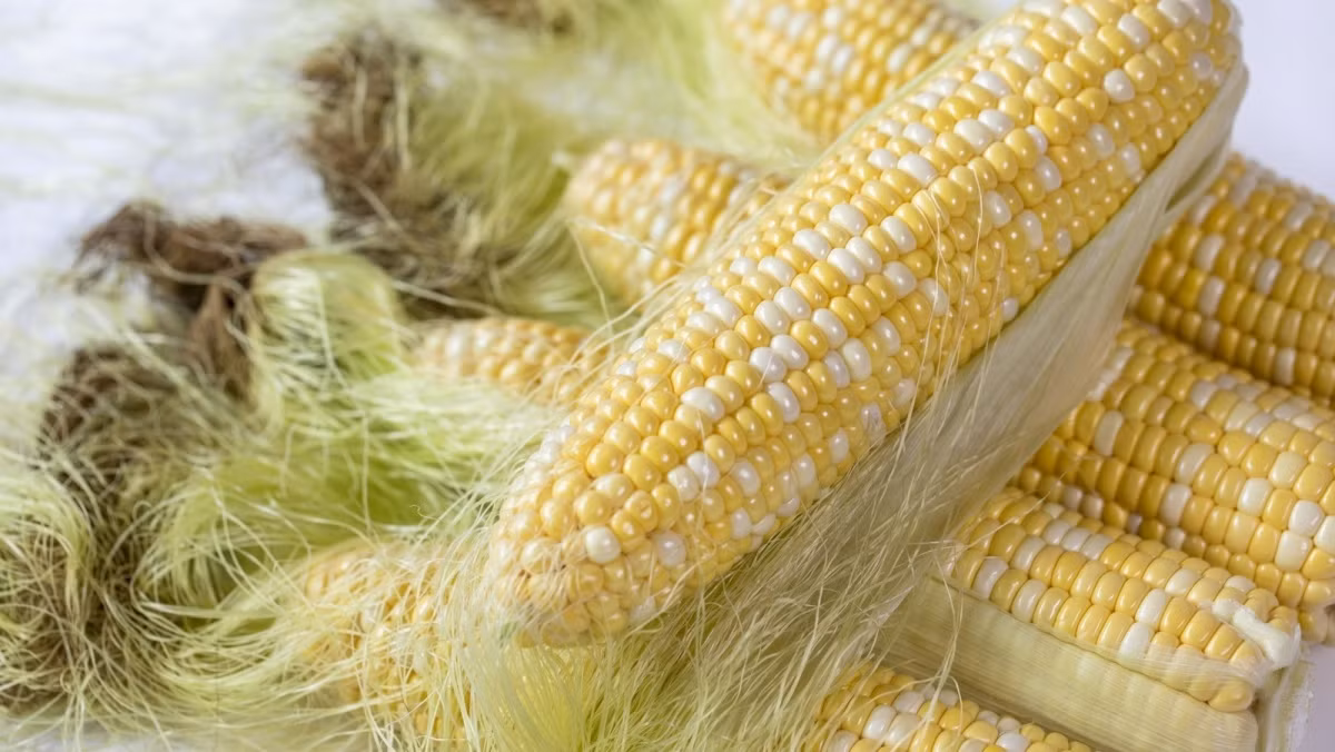 Dung bo phi rau ngo vi cuc tot cho suc khoe