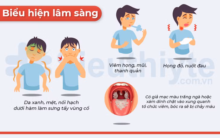 Viem co tim: Bien chung nguy hiem cua benh bach hau-Hinh-2