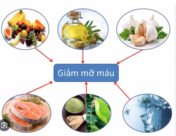 Top thuc pham giup giam mo mau hieu qua