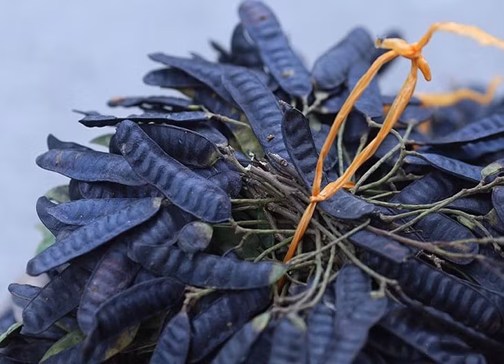 Tac dung chua benh bat ngo tu qua bo ket