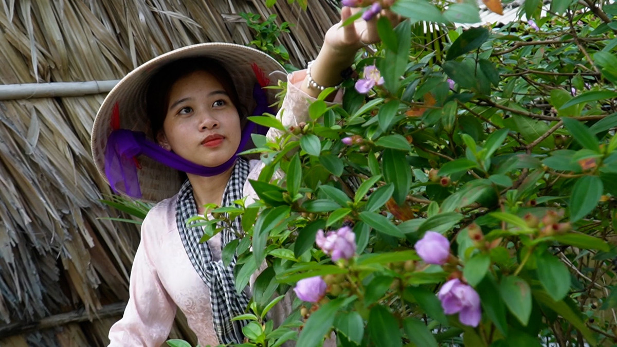 Cây mua là loài cây dại thường mọc ở những nơi ít ánh sáng dưới tán rừng hoặc ven các bờ kênh, bãi hoang, có ở hầu hết vùng miền trên cả nước. Hoa mua có nhiều loại, nhiều màu nhưng chủ yếu màu tím.