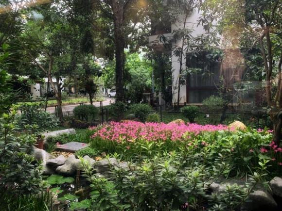 Bên cạnh đó, Hương Mai còn khiến nhiều người trầm trồ khi chia sẻ loạt ảnh vườn nhà của bố mẹ chồng.