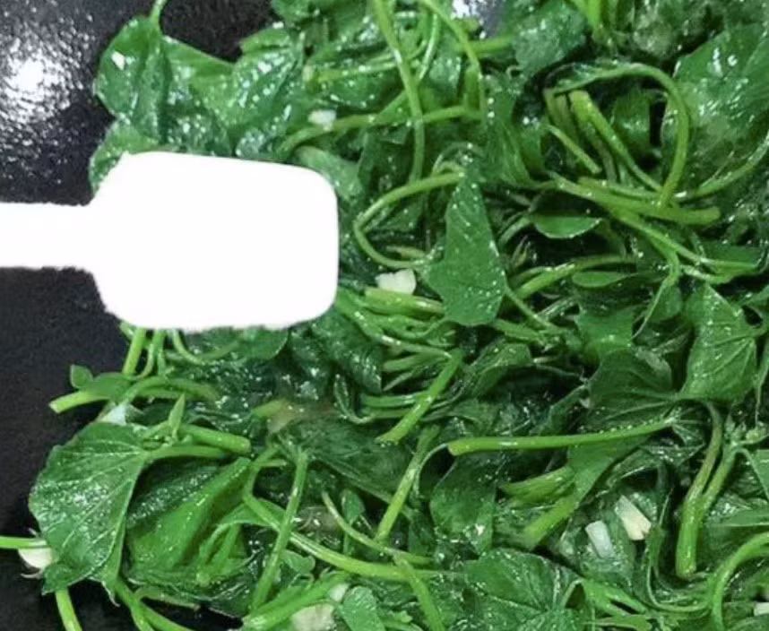 Loai rau binh dan chat xo gap 2 can tay, vitamin gap 2 cam-Hinh-17