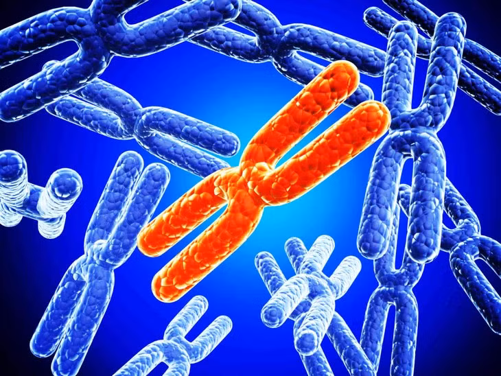 Hoi chung sieu nu anh huong the nao den kha nang sinh san?-Hinh-2