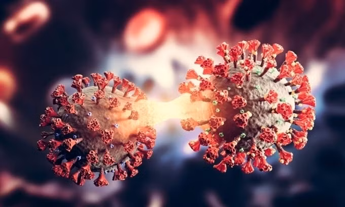 Bien phap phong ngua bien the phu JN.1 COVID-19