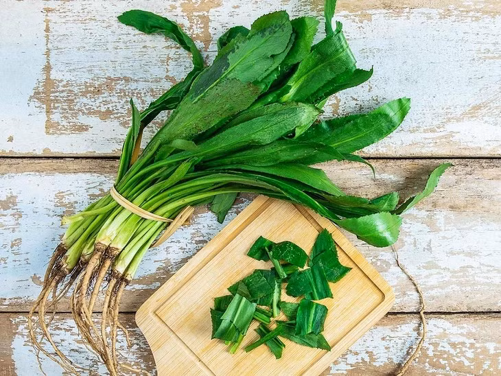 Tac dung chua benh cua rau mui tau