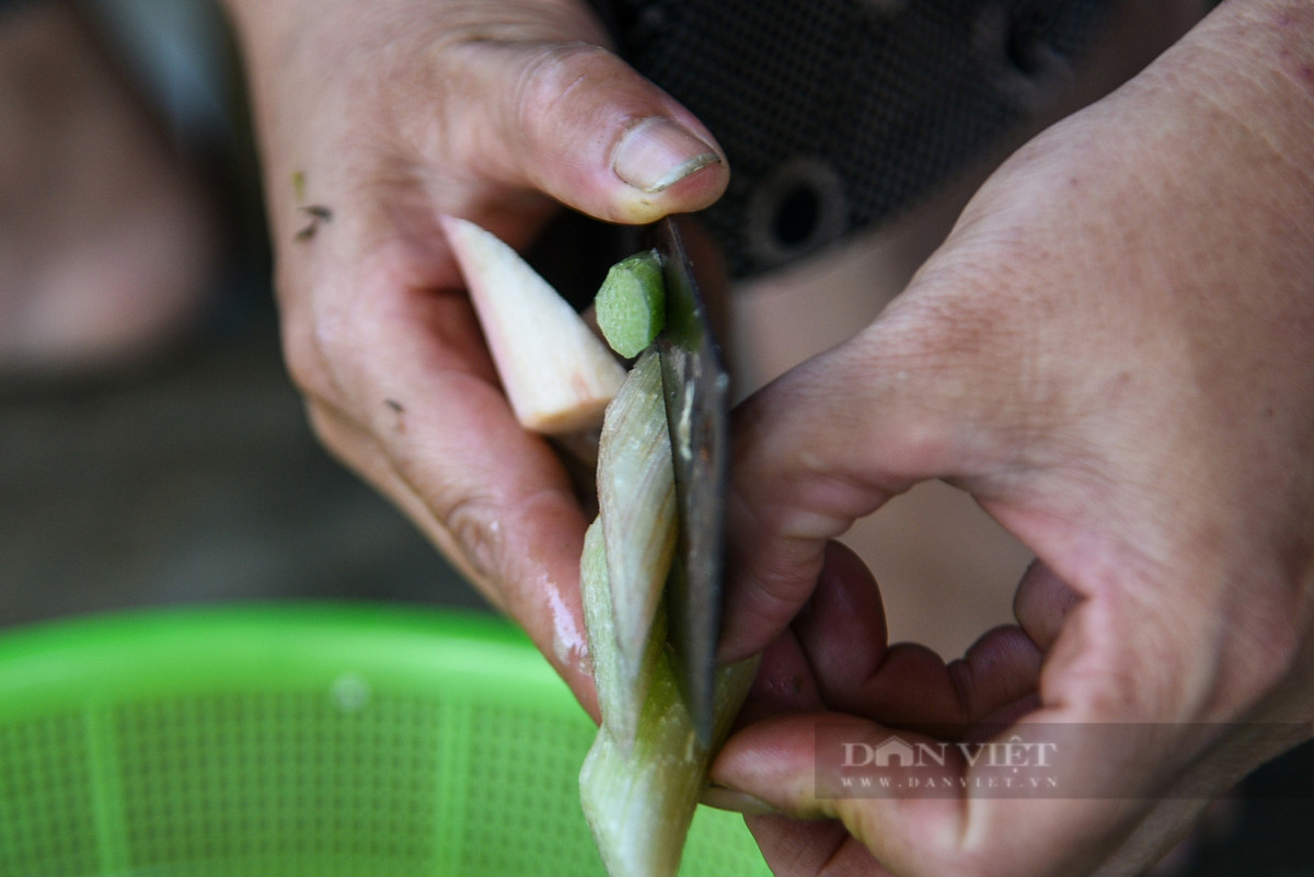 Tiếp theo đó cắt lát dày khoảng 2 cm, rửa sạch, vớt ra cho ráo nước.