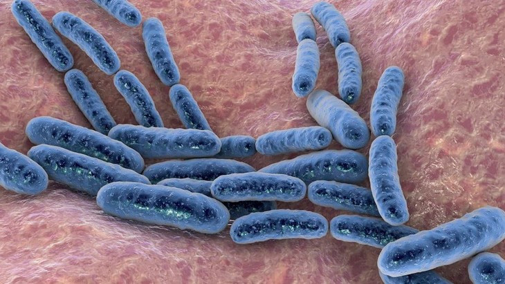 5 vi khuan co loi voi suc khoe con nguoi