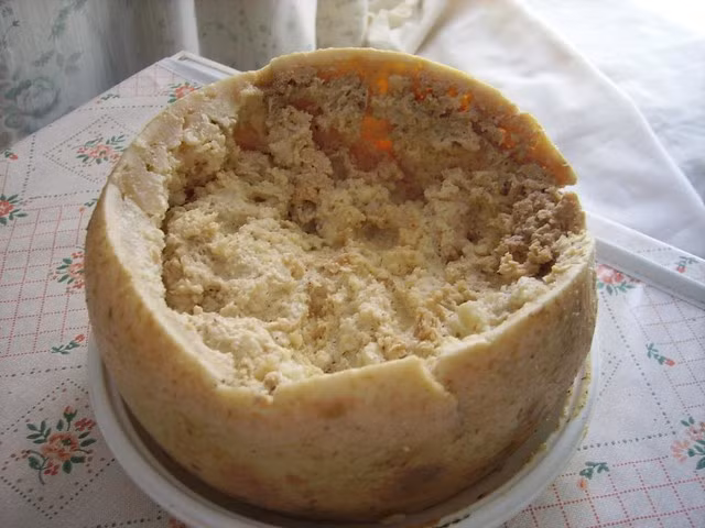  13. Casu Marzu – Ý: Pho mát Casu Marzu là sản phẩm của pho mát Pecorino mà ruồi đã đẻ trứng và nở ra hàng ngàn con giòi trên đó. Món ăn này bị EU coi là bất hợp pháp và chỉ được tìm thấy ở thị trường chợ đen. Nếu muốn thưởng thức món ăn này, hãy nhắm mắt. Bởi giòi có thể nhảy lên, bắn vào mắt bạn.