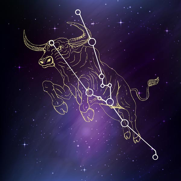 Rất may vũ trụ đối xử không hề hà khắc với bạn khi gửi đến một vài tín hiệu tích cực, thắp lên ngọn lửa hy vọng trong lòng Kim Ngưu. Từ giờ đến tháng 6 là thời điểm tuyệt vời để chòm sao này đi gặp gỡ, hẹn hò.