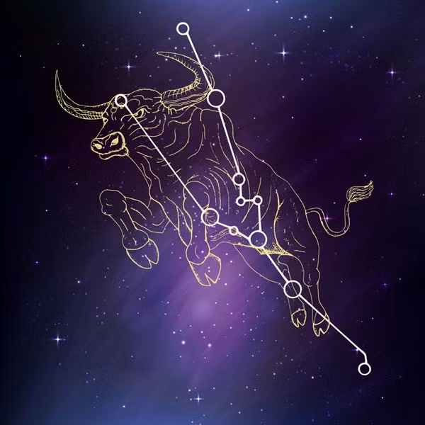 Rất may vũ trụ đối xử không hề hà khắc với bạn khi gửi đến một vài tín hiệu tích cực, thắp lên ngọn lửa hy vọng trong lòng Kim Ngưu. Từ giờ đến tháng 6 là thời điểm tuyệt vời để chòm sao này đi gặp gỡ, hẹn hò.