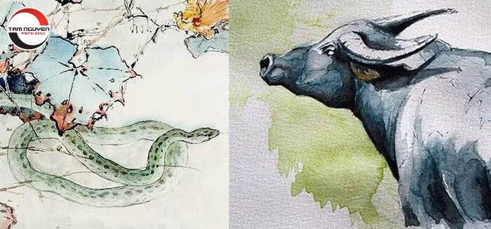 Nữ tuổi Sửu không quá lãng mạn về tình cảm nhưng lại là cánh tay phải đắc lực, hỗ trợ cho bạn đời trong việc phát triển sự nghiệp đồng thời có thể quán xuyến việc gia đình.