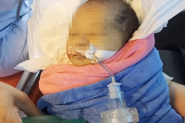 Be gai so sinh bi bo roi trong rung sau 1 ngay 1 dem