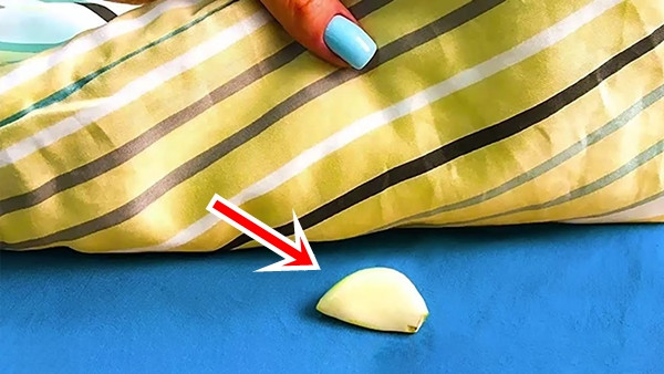 Cơ thể được thanh lọc hoàn toàn trong môi trường không khí có hương tỏi. Từ đó, giấc ngủ dễ dàng tìm đến. Mọi suy nghĩ phiền muộn, những việc mệt mỏi, năng lượng tiêu cực sẽ nhanh chóng bị xua tan. 