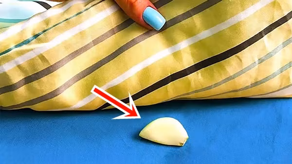 Cơ thể được thanh lọc hoàn toàn trong môi trường không khí có hương tỏi. Từ đó, giấc ngủ dễ dàng tìm đến. Mọi suy nghĩ phiền muộn, những việc mệt mỏi, năng lượng tiêu cực sẽ nhanh chóng bị xua tan. 