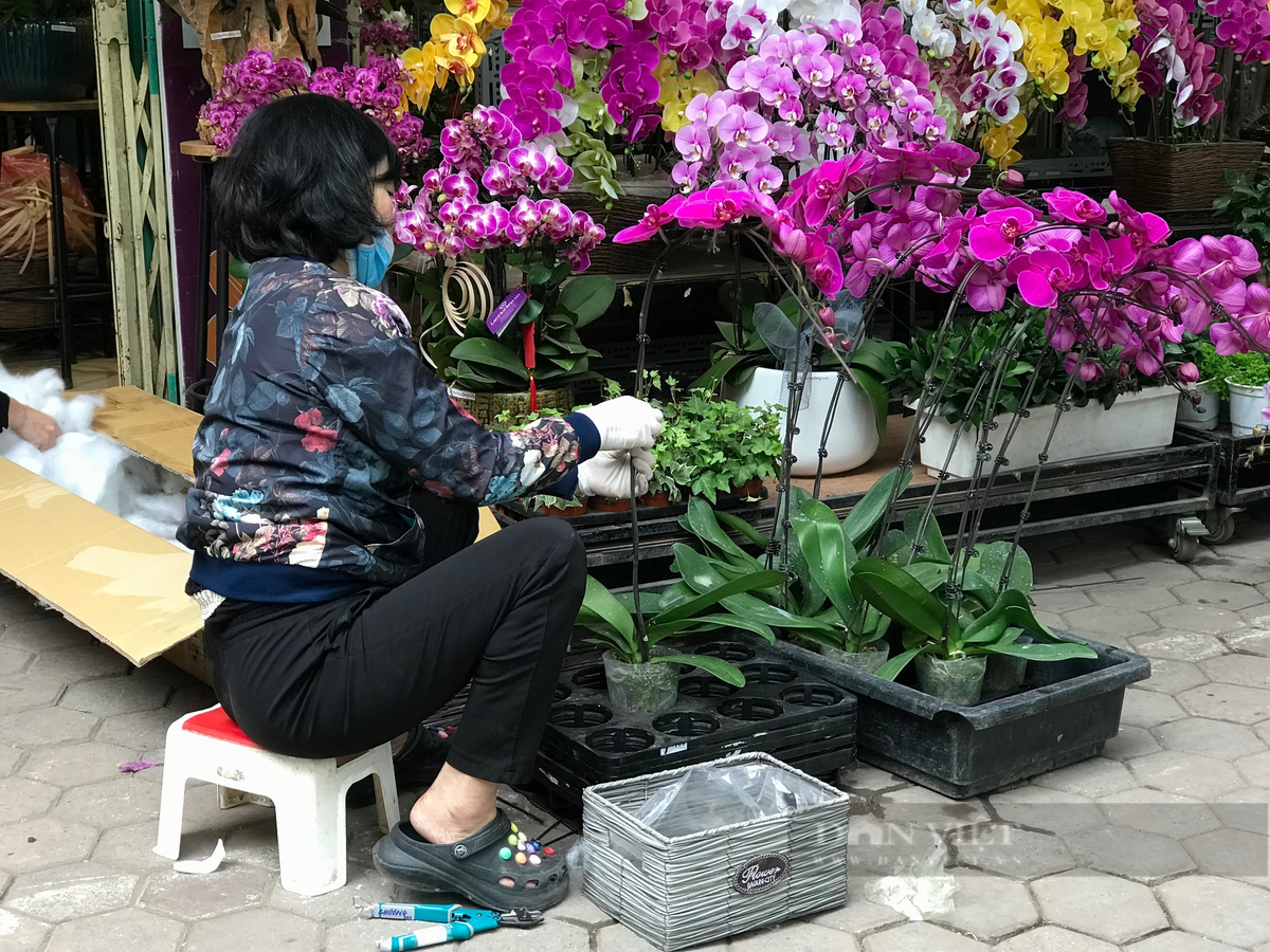  Một tiểu thương tại đường hoa Hoàng Hoa Thám cho biết, đào năm nay có giá từ 400.000 - 1 triệu đồng/chậu tùy vào kích thước, cúc mâm xôi khoảng 200.000 - 300.000 đồng/chậu, cẩm tú cầu là 200.000 - 300.000 đồng/cây. Ảnh: Phương Linh - Nguyễn Tùng. 