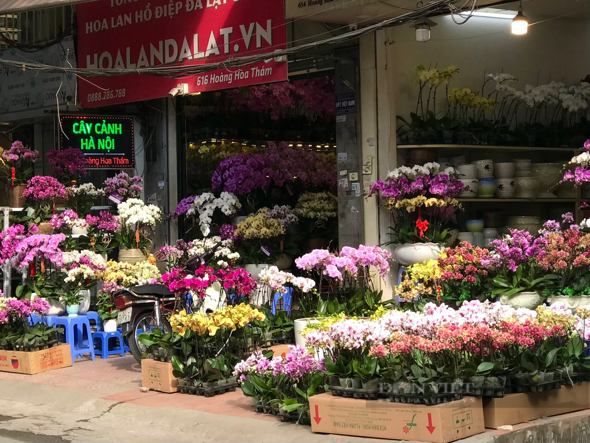  Năm nay, giá bán theo từng loại hoa không tăng nhiều so với năm ngoái, thị trường tiêu thụ hoa đã dần ổn định sau thời gian dịch. Ảnh: Phương Linh - Nguyễn Tùng. 