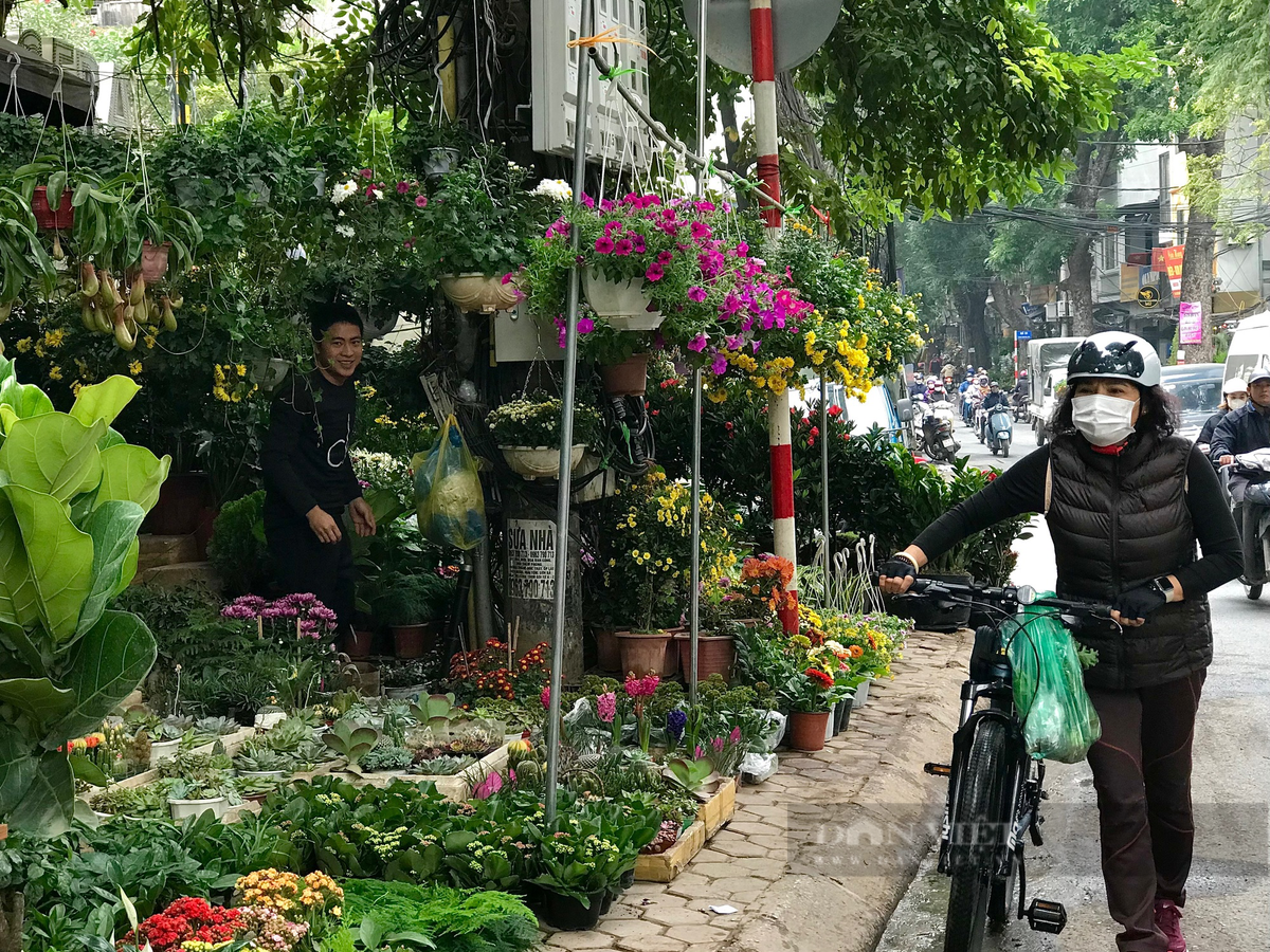  Bày bán hàng nghìn loại hoa nên đường Hoàng Hoa Thám như khoác lên một lớp áo rực rỡ sắc màu, khoe vẻ đẹp riêng những ngày xuân về. Ảnh: Phương Linh - Nguyễn Tùng. 