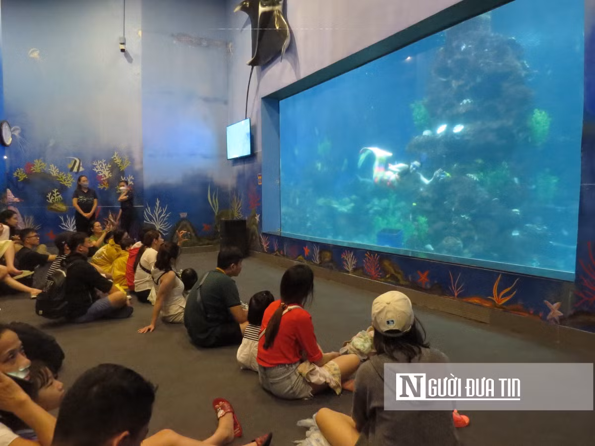 Chuyen ve nhung “nang tien ca” o thuy cung-Hinh-6