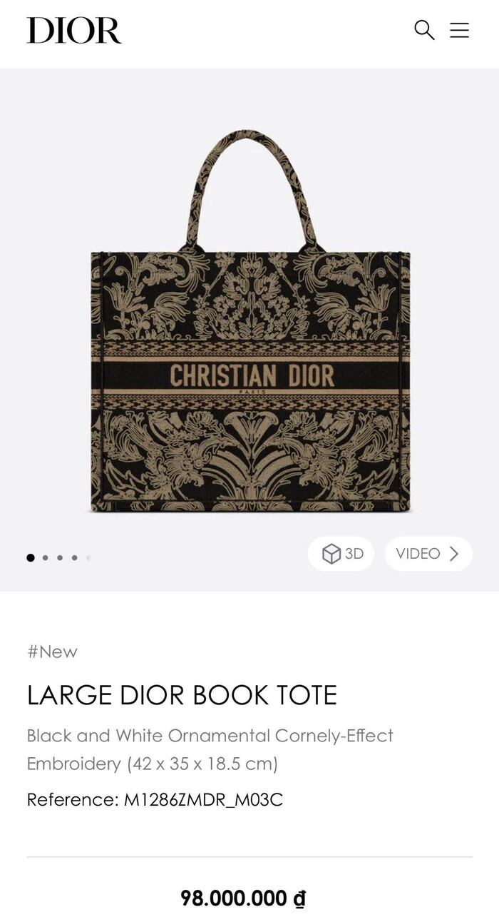 Doan Di Bang dung rau bang tui hieu gia hon tram trieu-Hinh-3